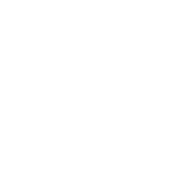 Iloilo City Government