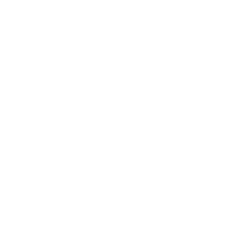Commission on Population and Development